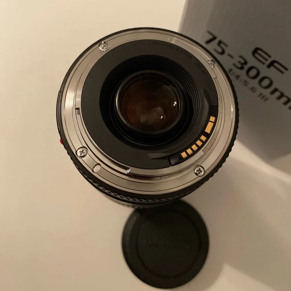 Canon EF 75-300mm f/4-5.6 lens